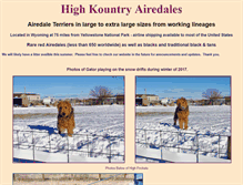 Tablet Screenshot of hkairedales.com
